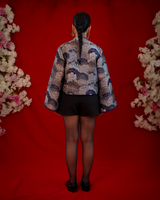 SILVER DRIFT - FC-05